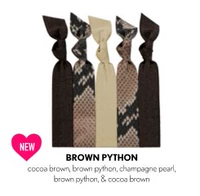 BROWN PYTHON