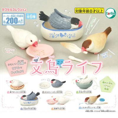 taobao agent EPOCH twisted egg Tarlin's cute and cute bird's daily cherry munia ostrich white munia sparrow miniature