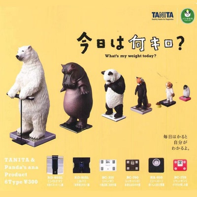 taobao agent Tommy TOMY Gacha Panda's Cave is fat again. Panda, Hippo, Polar Bear and Penguin on Tanita Scale