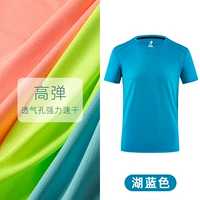 Озеро синий (сетчатая ратка)