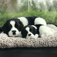 Bianpu Dog (мать и ребенок) содержит 200 граммов активированного углерода