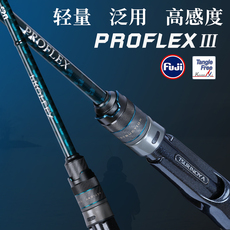 Дорожные суб -полюсный