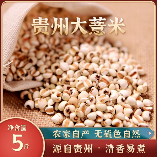 Большой ячмень, Xinguizhou Свежие семена Райс Райс просо