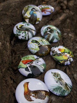 Бруклинский музей × Jiukou Mountain Audubon Серия «Птицы Америки» Магнит на холодильник Ретро-магнит Пресс-папье
