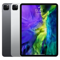 2020 [iPad Pro] 12,9 дюйма