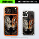 Spiderman “Great Responsibility” Dollar Bill & BMW M Car Case Phone Case for iPhone 17, 16, 15, 14 and 13