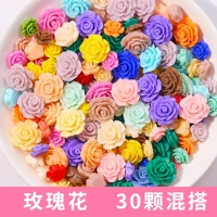 Sky Blue Rose 30 Mix и Match