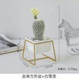 Брендовая скандинавская лампа для растений для гостиной, маленький горшок, креативное украшение в помещении, кактус, популярно в интернете