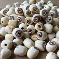 2023 Новые товары Небольшие гранулированные семена лотоса белые семена лотоса
