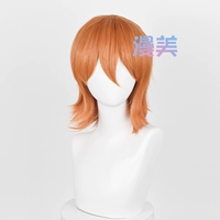 Смешанный 17 Wig+Hair Net