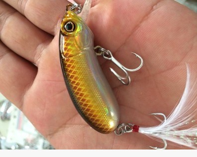 爱逛街为您找到路亚鱼饵相关的宝贝,您可以在下面的板块中挑选喜欢的