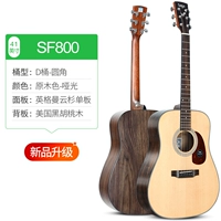 SF800 [New Evolution] округлый цвет журнала