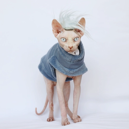 Sphinx Pet безволосая одежда для кошачьей одежды Dapan Custom Anti -Off Design Fabric Удобная осень и зимняя толстая ins
