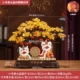 [Spike для места] Подарочная коробка Dance Lion Dance Yingxiang [Страхование парковки подарков]
