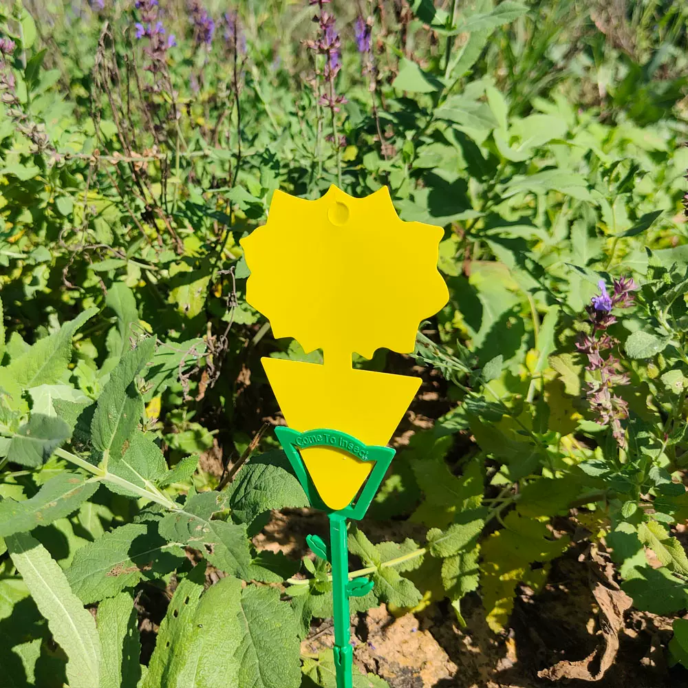 包邮15片黄塑料15 25厂家直销双面粘蚊虫苍蝇纸贴诱灭带诱板