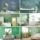 绿色植物盆栽家居装饰沙发室内装修海报PSD分层设计元素材101026 mini 0