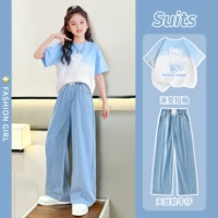 15013 синий + 9792 градиент