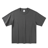 Темная ночная пепела