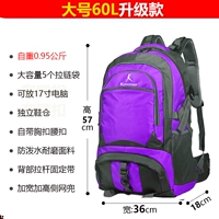 Фиолетовый 【стандартный большой 60 л】