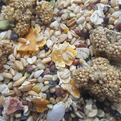 包邮!农场熊熊 侏儒 自制干净纯五谷自配粮 仓鼠粮400g