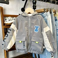 DPY Grey Phase Bighte Beart Beart