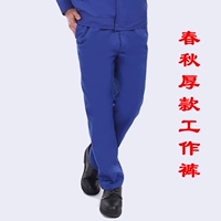 Синие осенние рабочие штаны