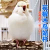 Товары от 兴华茗冷