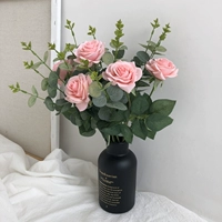 Бесплатная доставка!Ins Feng Champagne Rose Eugali Yejiaju Flower 0,1 кг