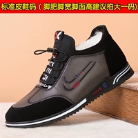 Серый /плюс бархатный /увеличение моделей