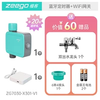 [80%выбор] удаленный таймер+Wi -Fi Gateway Double Out Out