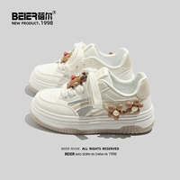 B1608M Brown Модель сетевой поверхности
