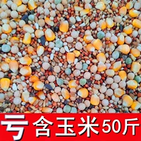 50 фунтов с кукурузным голубями, голуби, голубь кормить птичье питание, чтобы наблюдать