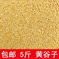Бесплатная доставка, Shell Xiaomi Huang Valley 5 фунтов птичьей еды, птичья бродяга, тигровой пион, пион и феникс Птица Золотая шелковая птица