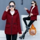 654 Jujube Red