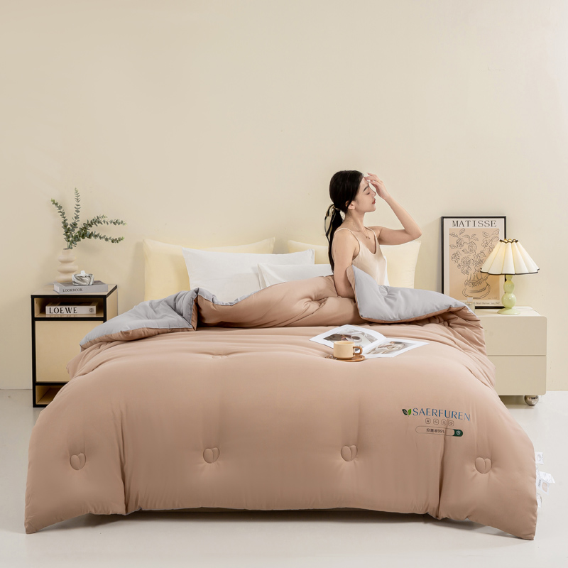 A类母婴级5D云感双拼被子被芯春秋被冬被加厚保暖被子被芯