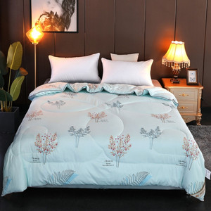 全棉蚕丝被桑蚕丝被冬被双人被芯皮礼袋装