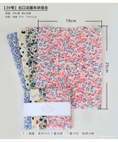 Вайолет [№ 30]