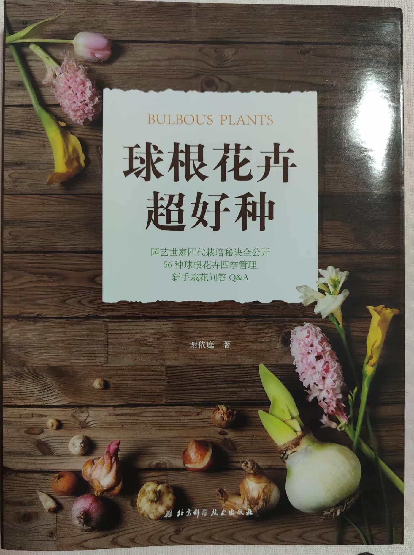 球根花卉超好种 园艺世家40年种植经验 居家的球根花卉全书