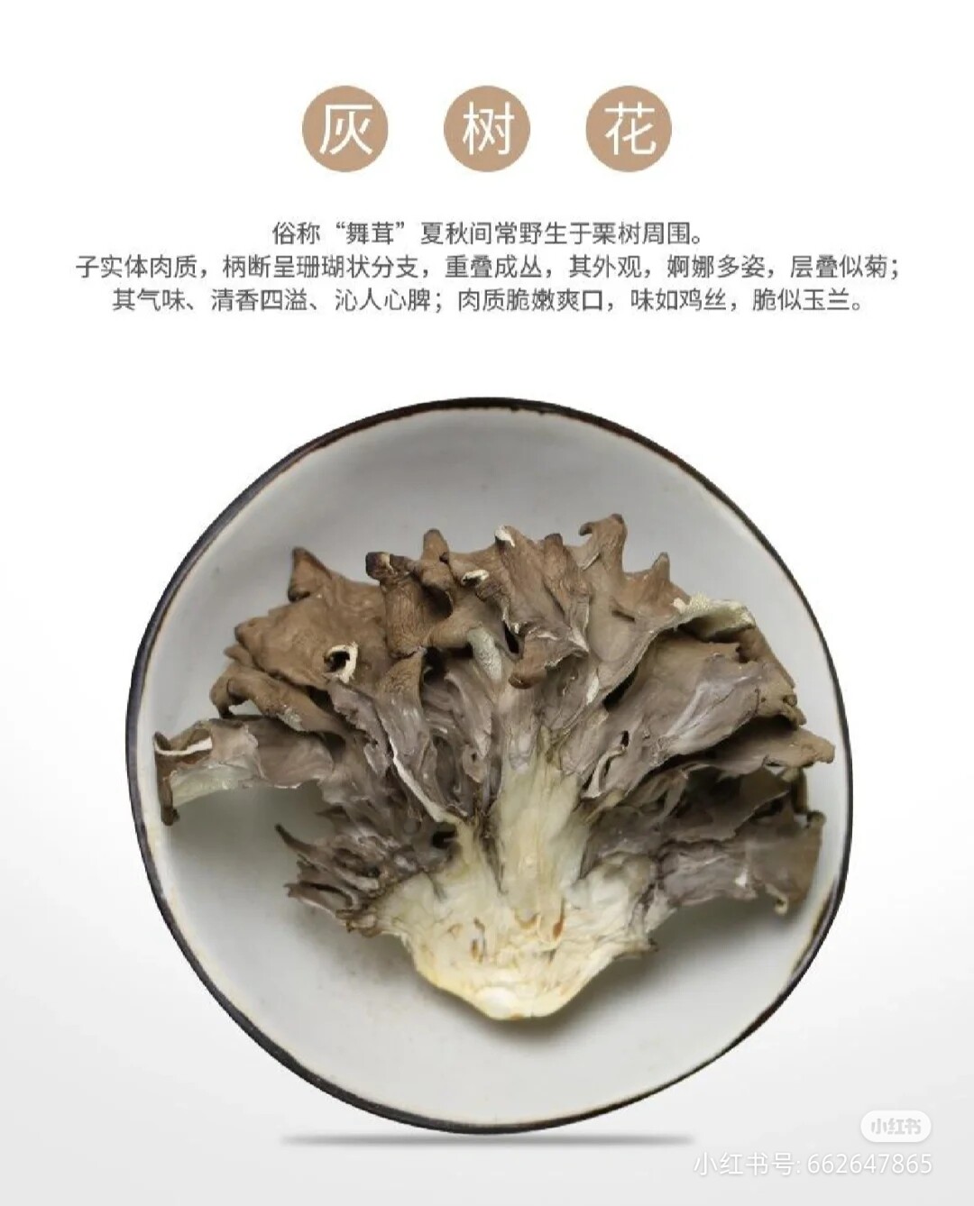 庆菇庆元灰树花500g新货舞菇干货灰树菇高山栗蘑菌菇菊花菌舞茸茶