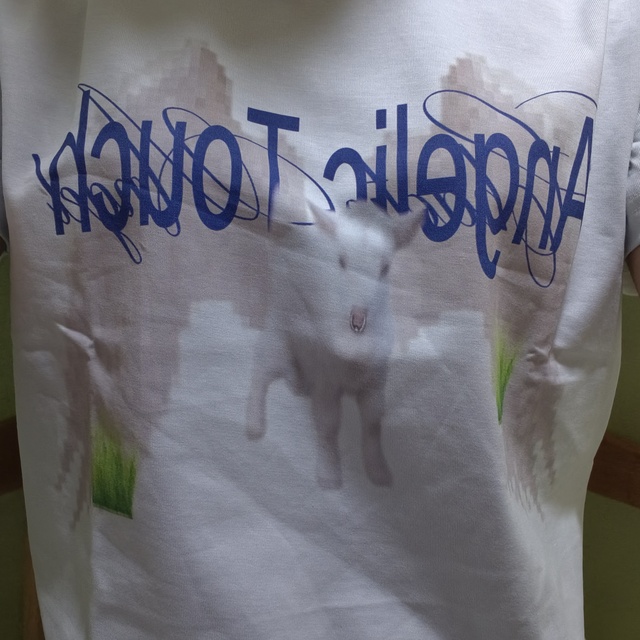 ANGEL LAMB ASIAN CASUAL T-SHIRT image 13