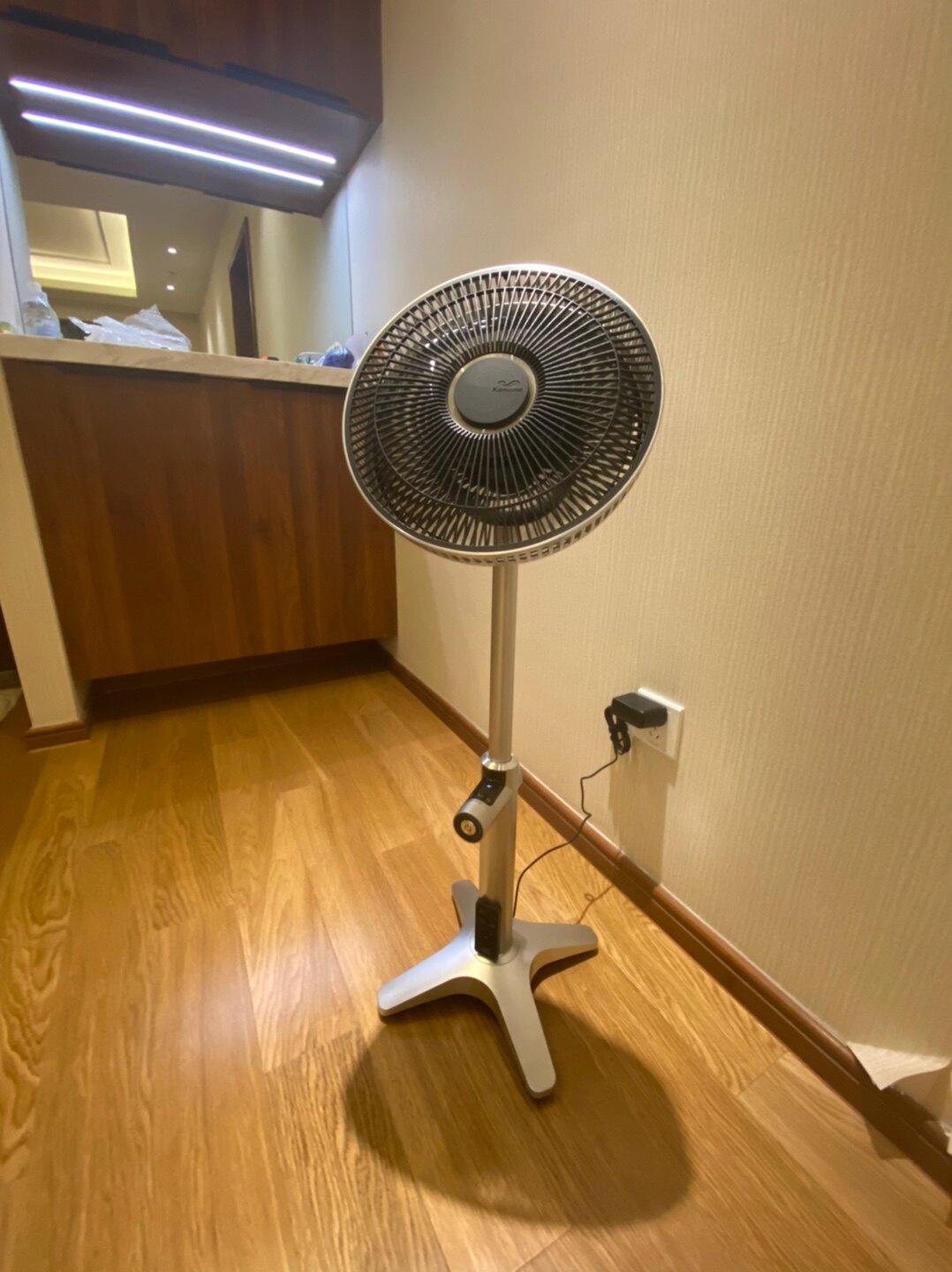 kamomefan日本海鸥电风扇静音落地扇立式家用定时遥控风扇251