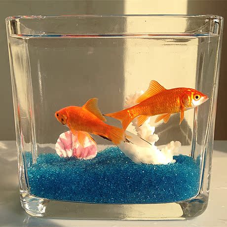 爱逛街为您找到玻璃桌面金鱼缸相关的宝贝,您可以在下面的板块中挑选