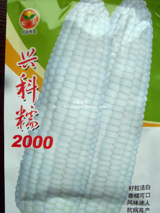 

Семена Center of Shouguang vegetable breeding 244 2000 100