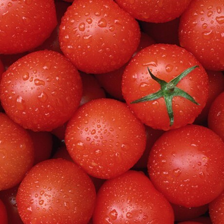 圣女果■新鲜小番茄一盒