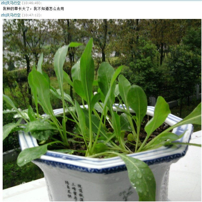 【早安温言暖语】谁的青春不迷茫(五)