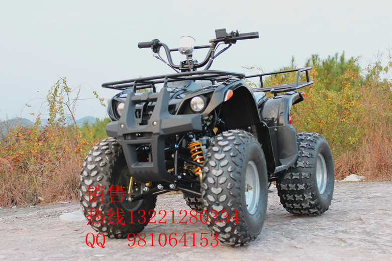 

Запчасти для Мото ATV