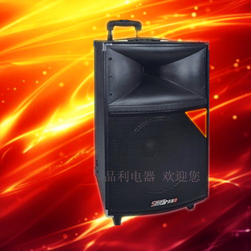 

звуковые устройства Sound U.S. special ST-212U 12 300W