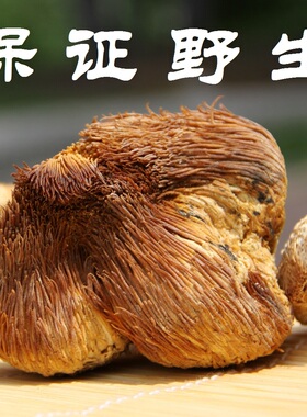 东北大兴安岭纯野生猴头菇 特级山产干货可免费打粉养胃250克包邮