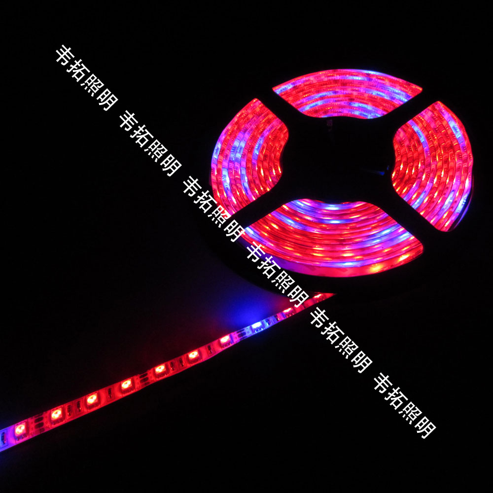 

светодиодный дюралайт Wei Tuo 5050 LED 60