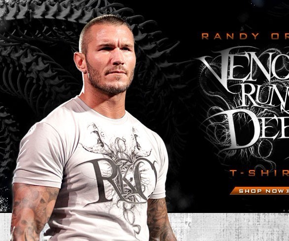 

Футболка мужская Wwe RKO Randy Orton